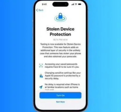塔洋镇苹果授权维修店分享被盗设备保护功能开启方法 