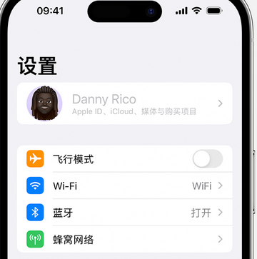 塔洋镇appleID维修服务iPhone设置中Apple ID显示为灰色无法使用 