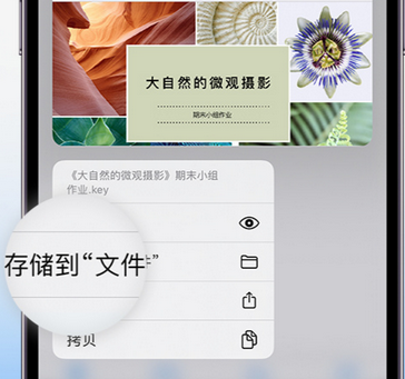 塔洋镇apple维修中心分享iPhone文件应用中存储和找到下载文件