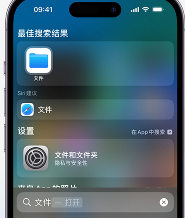 塔洋镇apple维修中心分享iPhone文件应用中存储和找到下载文件