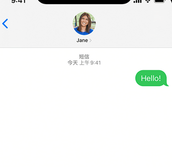 塔洋镇apple维修iPhone上无法正常发送iMessage信息