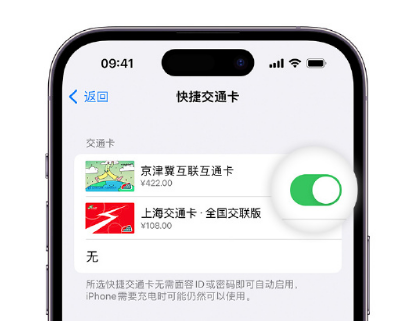 塔洋镇apple维修点分享iPhone上更换Apple Pay快捷交通卡手绘卡面 