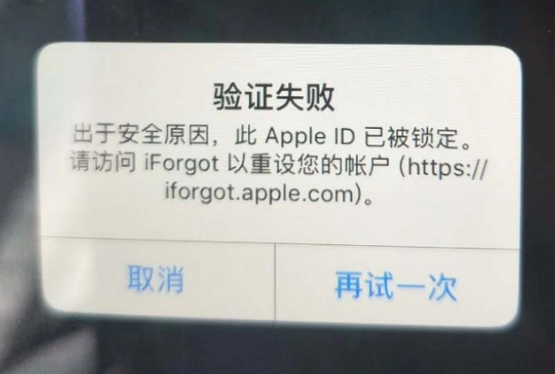 塔洋镇iPhone维修分享iPhone上正常登录或使用AppleID怎么办 