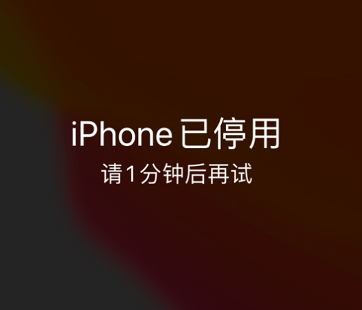 塔洋镇苹果手机维修分享:iPhone 显示“不可用”或“已停用”怎么办？还能保留数据吗？ 