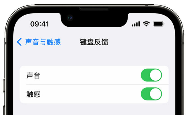 塔洋镇苹果手机维修分享iPhone 14触感键盘使用方法 