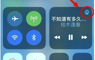 塔洋镇苹果14维修分享iPhone14连接两副耳机听歌方法教程 