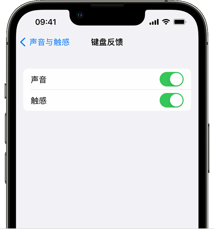 塔洋镇苹果14维修店分享如何在 iPhone 14 机型中使用触感键盘 