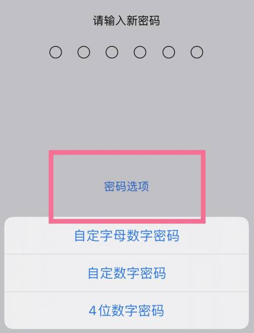 塔洋镇苹果14维修分享iPhone 14plus设置密码的方法 