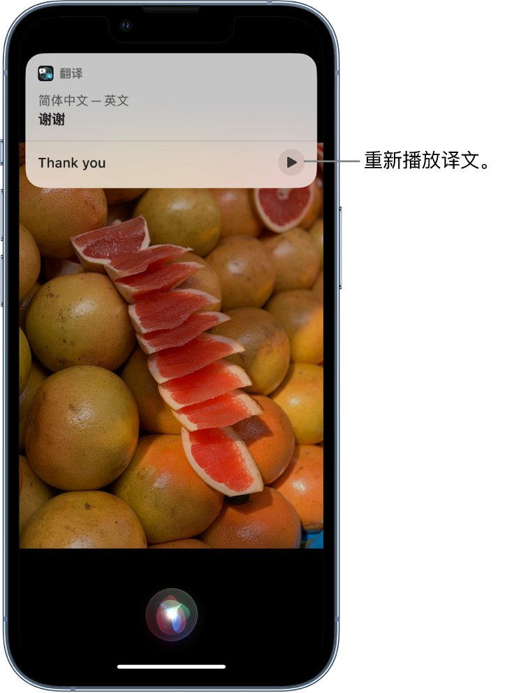 塔洋镇苹果14维修分享 iPhone 14 机型中使用 Siri：了解 Siri 能帮你做什么 