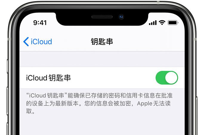 塔洋镇苹果手机维修分享在 iPhone 上开启 iCloud 钥匙串之后会储存哪些信息 