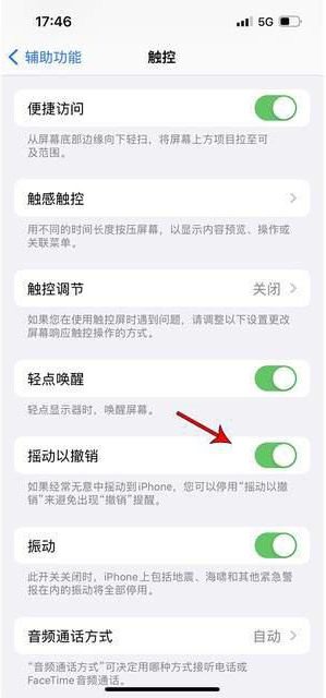 塔洋镇苹果手机维修分享iPhone手机如何设置摇一摇删除文字 